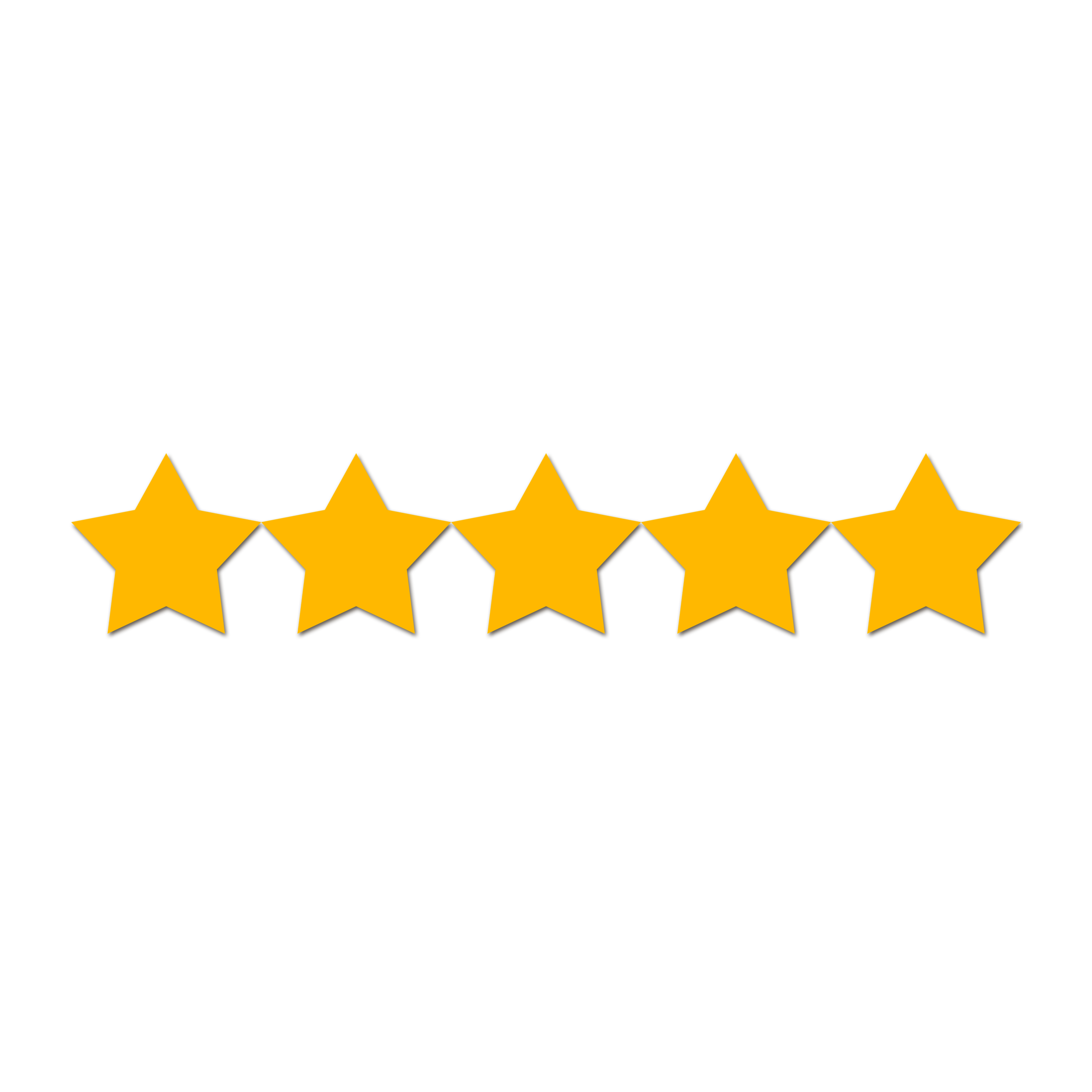5 Star Rating